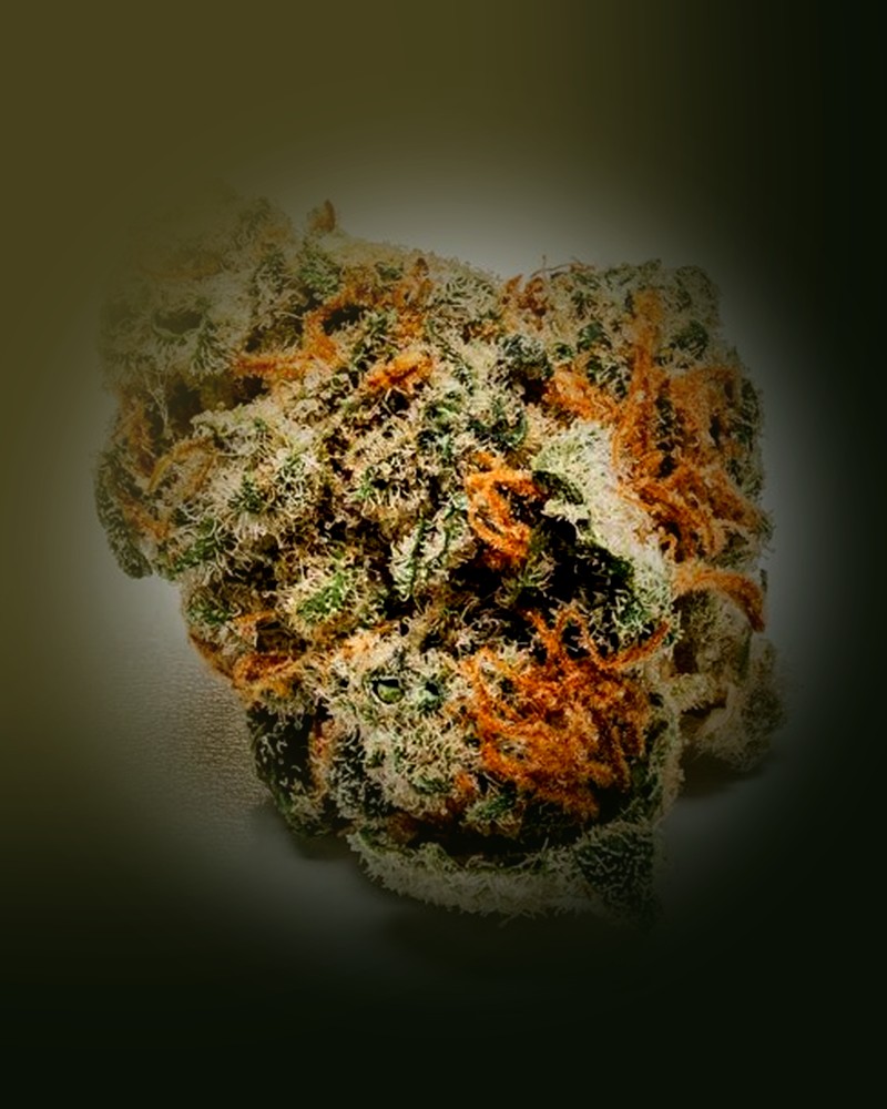 Cannabis Flower